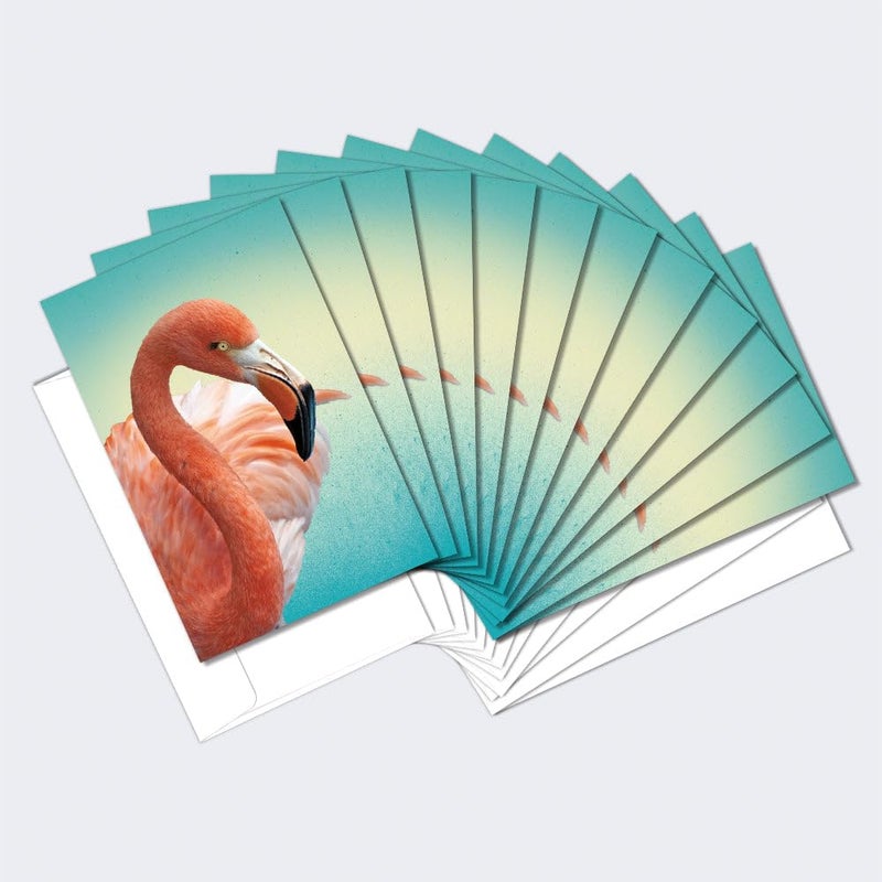 Tree-Free Greetings EcoNotes 12 Count Deco Flamingo All Occasion Notecard Set with Envelopes, 4 x 6 Inches (FS56228) - Image 1